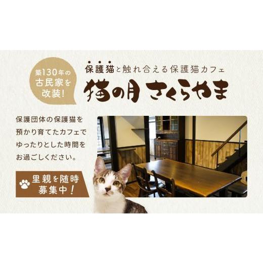 ふるさと納税 岐阜県 高山市 猫の月さくらやまご招待券1名様分（猫カフェ60分無料＋ワンドリンク付き）　ネコカフェ チケット 猫 ねこ ドリンク付き 古民家カ…｜furusatochoice｜03