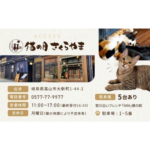 ふるさと納税 岐阜県 高山市 猫の月さくらやまご招待券1名様分（猫カフェ60分無料＋ワンドリンク付き）　ネコカフェ チケット 猫 ねこ ドリンク付き 古民家カ…｜furusatochoice｜06