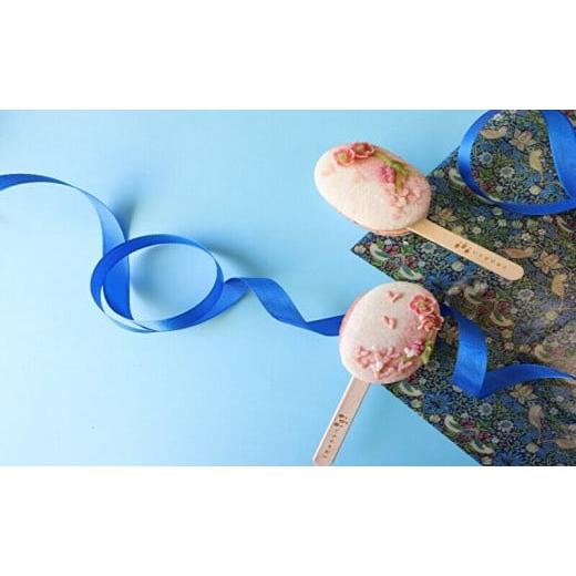 ふるさと納税 焼菓子・チョコレート マカロン 兵庫県 明石市 棒付き マカロン いろはのマカロン 〜贈〜 スイーツ 洋菓子 焼菓子