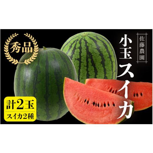 ふるさと納税 スイカ 福井県 あわら市 先行予約 抜群の甘さ 佐藤農園の小玉スイカ 食べ比べセット(ひとりじめ+ひとりじめナノまたはピノガール) 2玉(計3kg以…