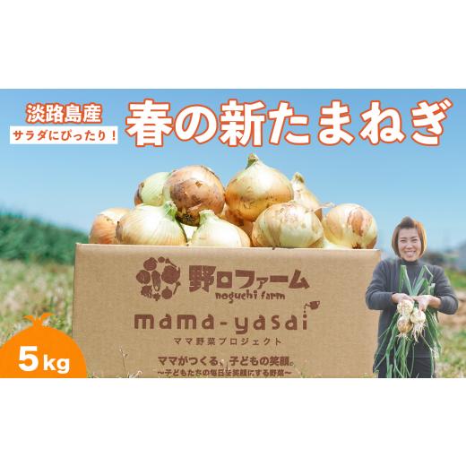 ふるさと納税 野菜類 玉ねぎ 兵庫県 南あわじ市 子どもたちが丸ごと食べれる 春の新たまねぎ5kg  配送３月〜 5kgの画像