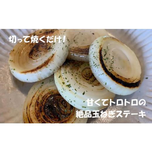 ふるさと納税 野菜類 玉ねぎ 兵庫県 南あわじ市 子どもたちが丸ごと食べれる 春の新たまねぎ5kg  配送３月〜 5kgの画像