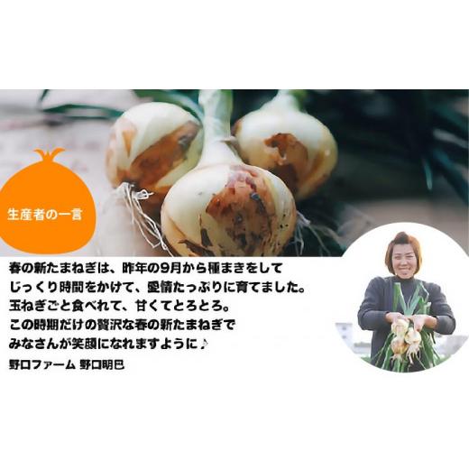 ふるさと納税 野菜類 玉ねぎ 兵庫県 南あわじ市 子どもたちが丸ごと食べれる 春の新たまねぎ5kg  配送３月〜 5kgの画像