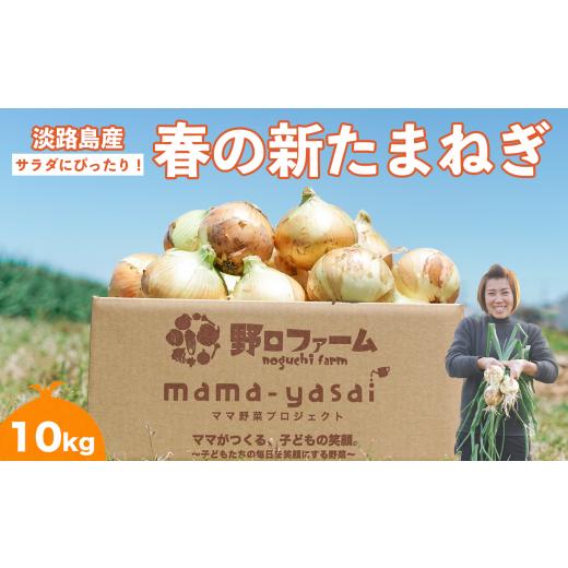 ふるさと納税 野菜類 玉ねぎ 兵庫県 南あわじ市 子どもたちが丸ごと食べれる 春の新たまねぎ10kg  配送３月〜 10kgの画像