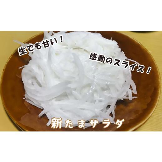 ふるさと納税 野菜類 玉ねぎ 兵庫県 南あわじ市 子どもたちが丸ごと食べれる 春の新たまねぎ10kg  配送３月〜 10kgの画像