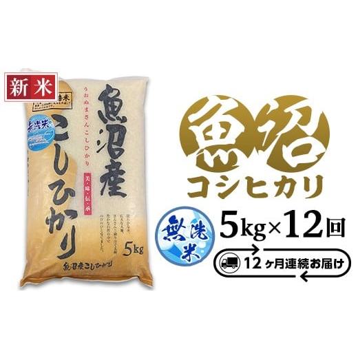 ふるさと納税 無洗米 新潟県 長岡市 C2-7M05ZB 12ヶ月連続お届け 新潟県魚沼産特別栽培米コシヒカリ無洗米5kg(長岡川口地域)