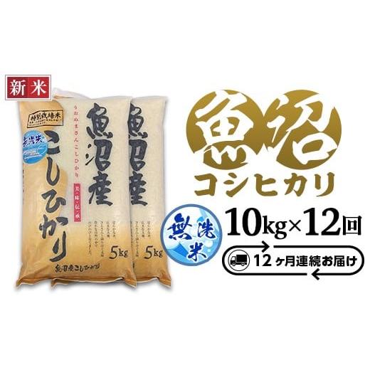 ふるさと納税 無洗米 新潟県 長岡市 C2-7M10ZB 12ヶ月連続お届け 新潟県魚沼産特別栽培米コシヒカリ無洗米10kg(5kg×2袋)(長岡川口地域)