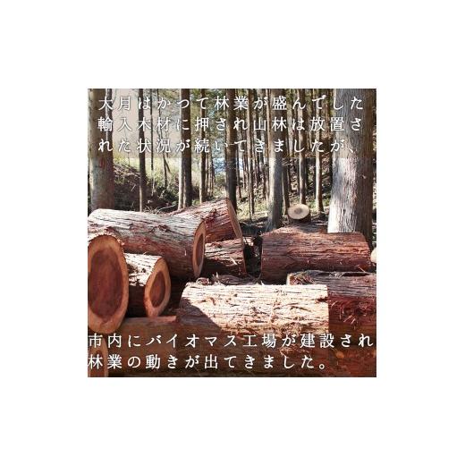 ふるさと納税 アウトドアグッズ 山梨県 大月市  大月市産 杉・檜のスウェーデントーチ　大サイズ 数量限定_5