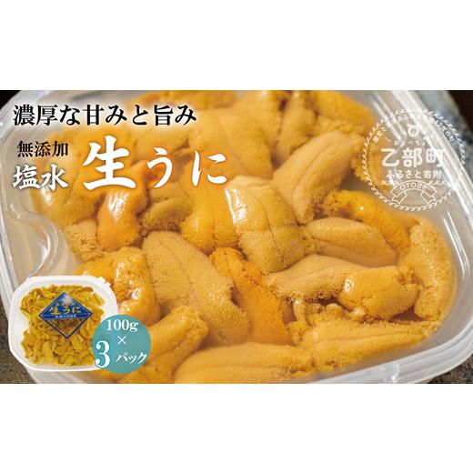 ふるさと納税 ウニ 北海道 乙部町 小川の塩水ウニ 100g×3パック ミョウバン不使用 工場直送