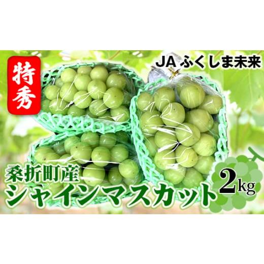 ふるさと納税 ぶどう マスカット 福島県 桑折町 令和8年9月頃発送 ぶどう(シャインマスカット)特秀2kg 桑折町産 JAふくしま未来 葡萄 / ブドウ ぶどう …