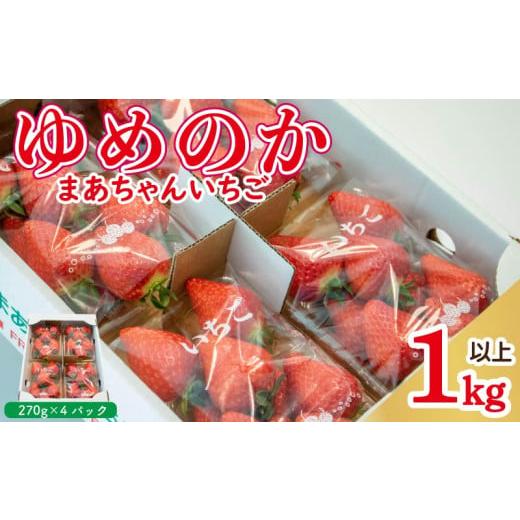 ふるさと納税 いちご 徳島県 阿波市 先行予約 いちご ゆめのか 1kg以上 (270g×4パック) 苺 ストロベリー 果物 フルーツ デザート スイーツ おやつ お菓子 洋…