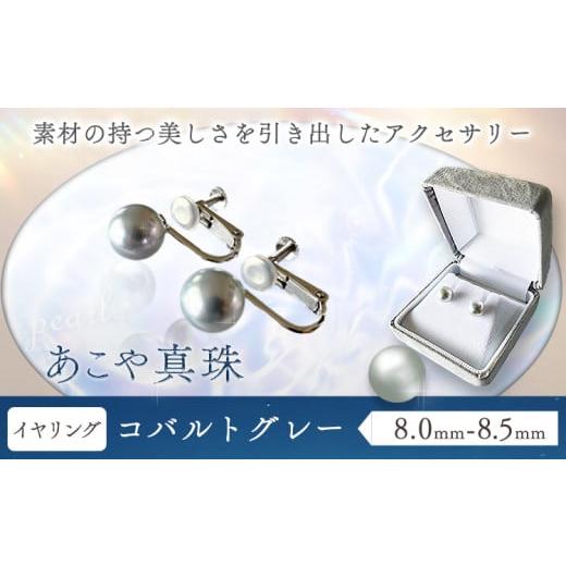 ふるさと納税 アクセサリー ピアス 岡山県 笠岡市 アクセサリー あこや真珠(8.0mm-8.5mm) コバルトグレー イヤリング ケース付き 富士真珠株式会社[45日以内…