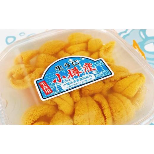 ふるさと納税 ウニ 北海道 小樽市 小樽産 ムラサキウニ 塩水生ウニ 100g×4パック 合計約400g うに 雲丹 ウニ 生ウニ 北海道 小樽市 2026年5月下旬-8月下旬 発…の画像