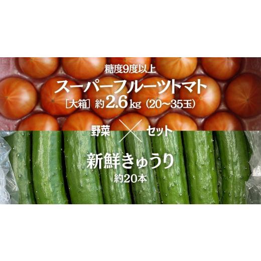 ふるさと納税 茨城県 桜川市 [2024年2月上旬発送開始]スーパーフルーツトマト 大箱 約2.6kg (20〜35玉)糖度9度以上 & 新鮮 きゅうり 約20本 野菜セット …