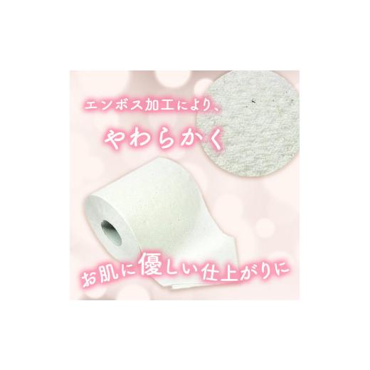 ふるさと納税 雑貨・日用品 新潟県 十日町市 トイレットペーパー定期便「包装なしB」 障がい者支援の返礼品の画像
