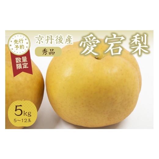 ふるさと納税 梨 京都府 京丹後市 先行予約/数量限定30 愛宕梨 秀品 5kg(5〜12玉入り)(2026年11月下旬〜発送)国産 あたご梨 赤梨 5〜12 個 玉 ふるさと …