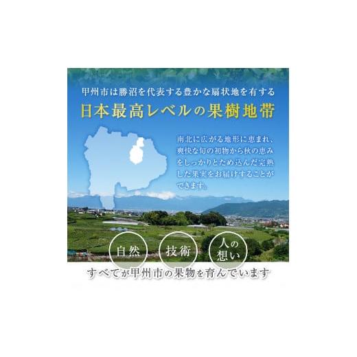 クリアランス大特価 ふるさと納税 山梨県 甲州市 【農林水産大臣賞受賞!!】シャインマスカット2房1〜1.5kg【2024年発送】（AGB）B12-445