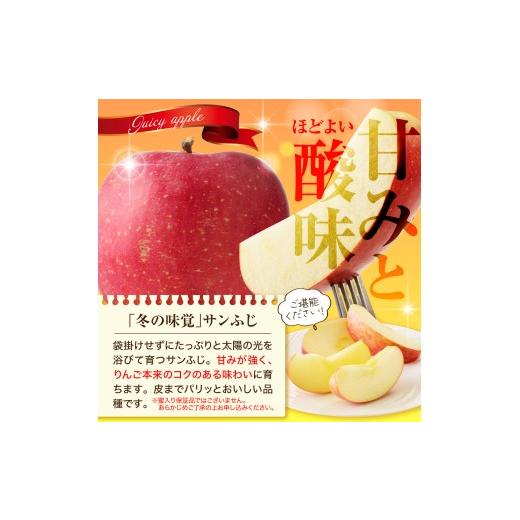 ★しげりんご。★ ふるさと納税 りんご 山形県 天童市 08-10-039 りんご(サンふじ)3kg
