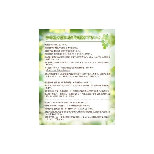 ふるさと納税 山梨県 富士吉田市 期間限定 【 2024年 先行予約 】【 定期便 】 厳選 フルーツ 3回 定期便 シャインマスカット 桃 果物 フルーツ くだもの 旬 …｜furusatochoice｜08