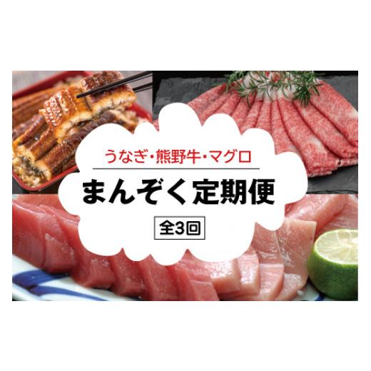 ふるさと納税 うなぎ 和歌山県 新宮市  3か月定期便 まんぞく定期便 うなぎ・高級和牛・マグロ 人気返礼品を3回お届け ／ 本まぐろ まぐろ マグロ 鮪 うなぎ …_1