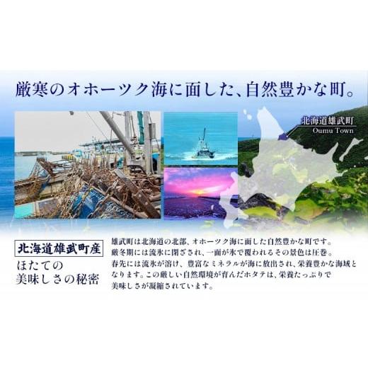 ふるさと納税 魚貝類 ホタテ 北海道 雄武町 北海道雄武町産ほたて貝柱5S 1kg（冷凍） 0711804の画像