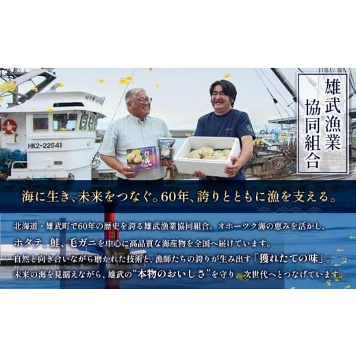 ふるさと納税 魚貝類 ホタテ 北海道 雄武町 北海道雄武町産ほたて貝柱5S 1kg（冷凍） 0711804の画像