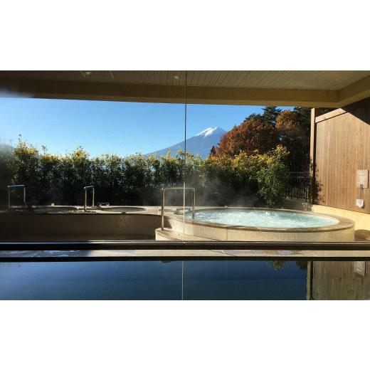 ふるさと納税 山梨県 富士河口湖町 【ラビスタ富士河口湖（共立リゾート）】平休日1泊2食付 ペア宿泊券《＜ラビスタツイン＞展望風呂付ツイン》 レンタル、各種サービス その他サービス