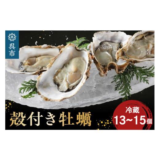 ふるさと納税 牡蠣 生牡蠣 広島県 呉市 先行予約 2026年1月から順次発送 矢野水産 フレッシュギフト 海からそのまま殻付き牡蠣13個〜15個