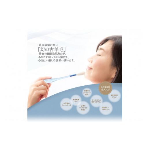 ふるさと納税 広島県 呉市 リラックスブラシ　古羊毛　Feela type-R クローム 