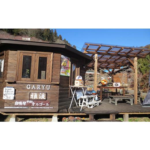 ふるさと納税 雑貨・日用品 群馬県 下仁田町 手回しオルゴールGARYU-mini マイク出力あり F21K-295の画像