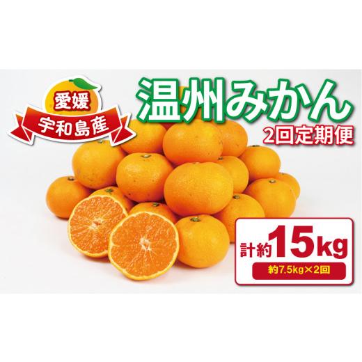 ふるさと納税 みかん・柑橘類 愛媛県 宇和島市 みかん定期便 温州みかん 2回 計15kg 7.5kg×2回 家庭用 愛媛みかん 平石農園 先行予約 柑橘定期便 定期便 mika…