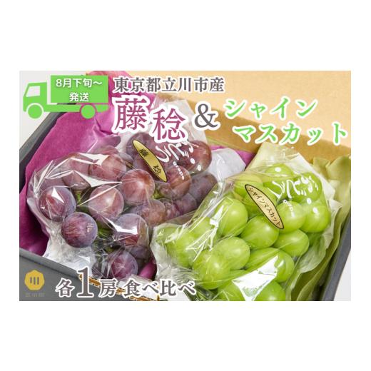 ふるさと納税 ぶどう マスカット 東京都 立川市 2026.8月下旬〜順次発送 シャインマスカットと藤稔のブドウ2種詰め合わせ
