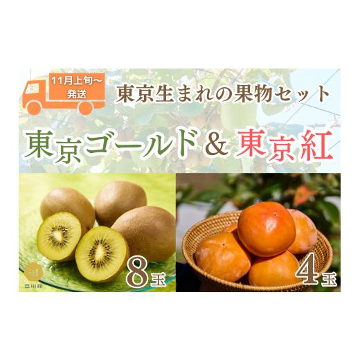ふるさと納税 果物類 柿 東京都 立川市 2026.11月上旬〜順次発送 東京オリジナルキウイ&柿の「東京お楽しみセット」