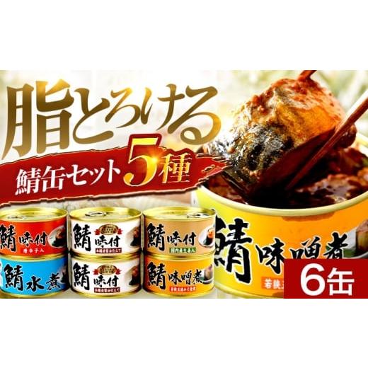 ふるさと納税 缶詰・瓶詰 魚貝類 福井県 小浜市 チョイス缶詰・瓶詰ランキング第2位獲得 鯖缶詰 6缶 詰め合わせA 180g×6缶 本醸造醤油仕立て 唐辛子 生姜 …