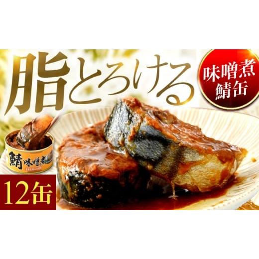 ふるさと納税 缶詰・瓶詰 魚貝類 福井県 小浜市 鯖味噌煮缶詰 12缶| サバ缶 鯖缶 さば缶 鯖 サバ さば 缶詰 サバ缶詰 鯖缶詰 缶 詰合せ 詰め合せ セット 非…