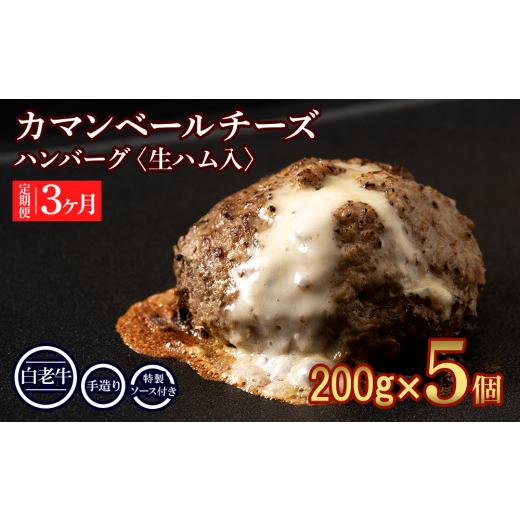 ふるさと納税 肉 ハンバーグ 北海道 白老町 定期便３ヵ月 お楽しみ 北海道産 白老牛 カマンベールチーズハンバーグ 5個セット 冷凍 チーズ イン ハンバーグ_1