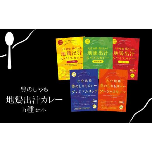 ふるさと納税 大分県 宇佐市 B-604 大分地鶏豊のしゃも地鶏出汁スパイスカレー５種セット 地鶏 しゃも 豊のしゃも カレー スパイス スパイスカレー レトルト … 