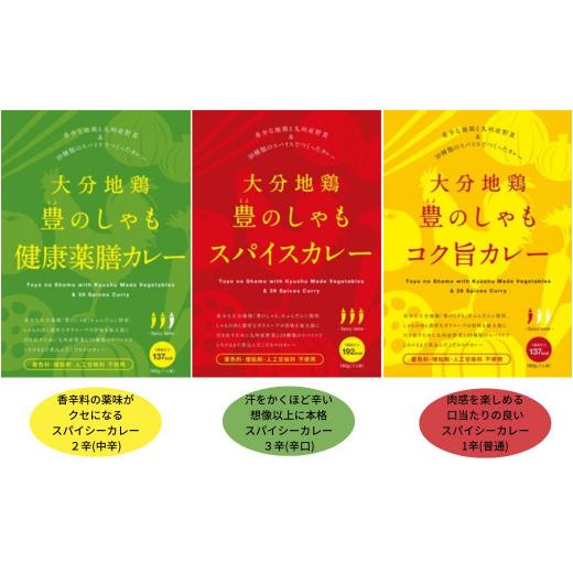 ふるさと納税 大分県 宇佐市 B-604 大分地鶏豊のしゃも地鶏出汁スパイスカレー５種セット 地鶏 しゃも 豊のしゃも カレー スパイス スパイスカレー レトルト … 