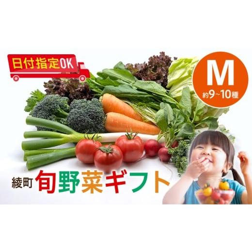 ふるさと納税 セット・詰合せ 宮崎県 綾町 綾町旬野菜ギフト〈 Mサイズ／約9-10種 〉2〜3人分 産地直送 野菜セット 詰め合わせ 新鮮 有機栽培 旬 採れたて 野…の画像