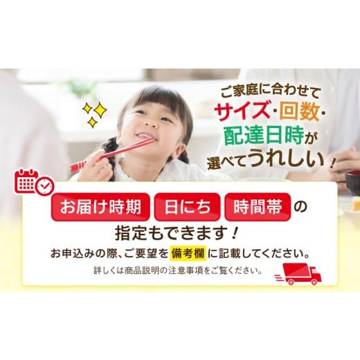 ふるさと納税 セット・詰合せ 宮崎県 綾町 綾町旬野菜ギフト〈 Mサイズ／約9-10種 〉2〜3人分 産地直送 野菜セット 詰め合わせ 新鮮 有機栽培 旬 採れたて 野…の画像