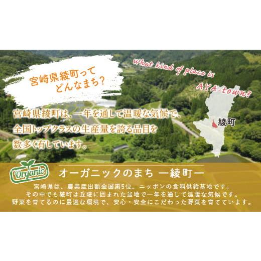 ふるさと納税 セット・詰合せ 宮崎県 綾町 綾町旬野菜ギフト〈 Mサイズ／約9-10種 〉2〜3人分 産地直送 野菜セット 詰め合わせ 新鮮 有機栽培 旬 採れたて 野…の画像