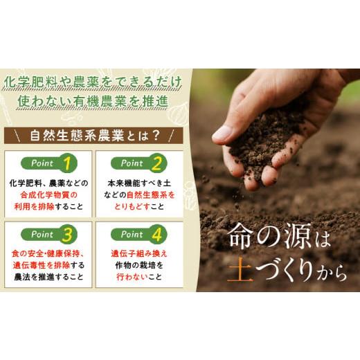 ふるさと納税 セット・詰合せ 宮崎県 綾町 綾町旬野菜ギフト〈 Mサイズ／約9-10種 〉2〜3人分 産地直送 野菜セット 詰め合わせ 新鮮 有機栽培 旬 採れたて 野…の画像
