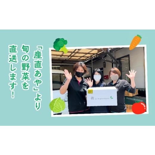 ふるさと納税 セット・詰合せ 宮崎県 綾町 綾町旬野菜ギフト〈 Mサイズ／約9-10種 〉2〜3人分 産地直送 野菜セット 詰め合わせ 新鮮 有機栽培 旬 採れたて 野…の画像