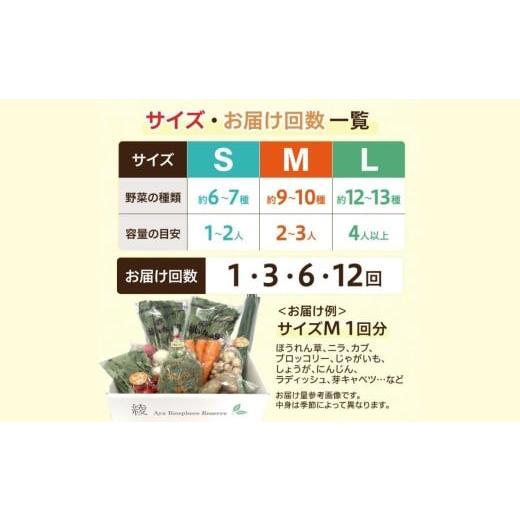 ふるさと納税 セット・詰合せ 宮崎県 綾町 綾町旬野菜ギフト〈 Mサイズ／約9-10種 〉2〜3人分 産地直送 野菜セット 詰め合わせ 新鮮 有機栽培 旬 採れたて 野…の画像
