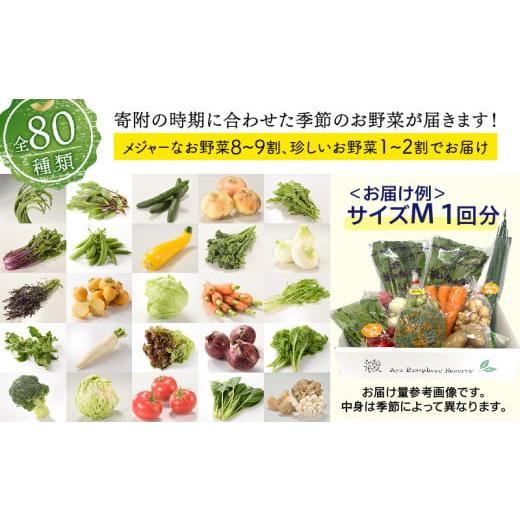 ふるさと納税 セット・詰合せ 宮崎県 綾町 綾町旬野菜ギフト〈 Mサイズ／約9-10種 〉2〜3人分 産地直送 野菜セット 詰め合わせ 新鮮 有機栽培 旬 採れたて 野…の画像