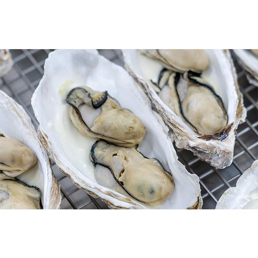 ふるさと納税 岩手県 山田町 菅原商店の山田湾育ちのカキグラタン（6個入り） 三陸山田 かき 牡蠣 海産品 海産物 YD-606｜furusatochoice｜05