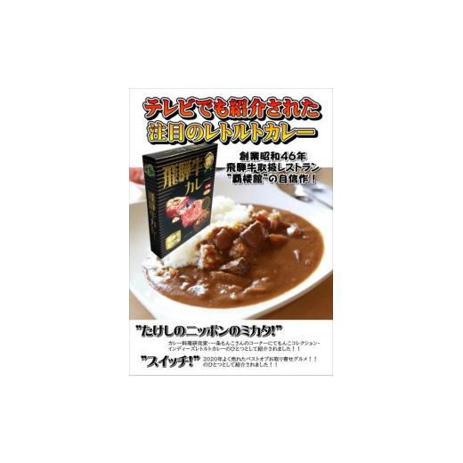 ふるさと納税 加工品等 レトルト 岐阜県 - 覇楼館・飛騨牛カレー1人前(250g)×14個セット_2