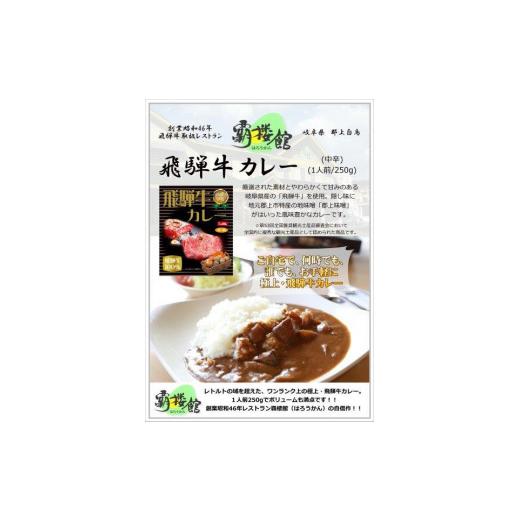 ふるさと納税 加工品等 レトルト 岐阜県 - 覇楼館・飛騨牛カレー1人前(250g)×14個セット_3