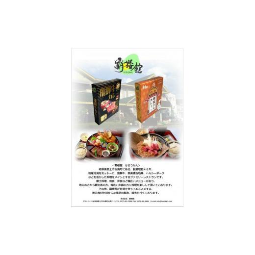 ふるさと納税 加工品等 レトルト 岐阜県 - 覇楼館・飛騨牛カレー1人前(250g)×14個セット_4