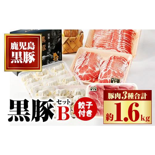 ふるさと納税 鹿児島県 肝付町 B02079 ふるさと黒豚セットB!黒豚餃子(12個入×3P)付き[和田養豚]